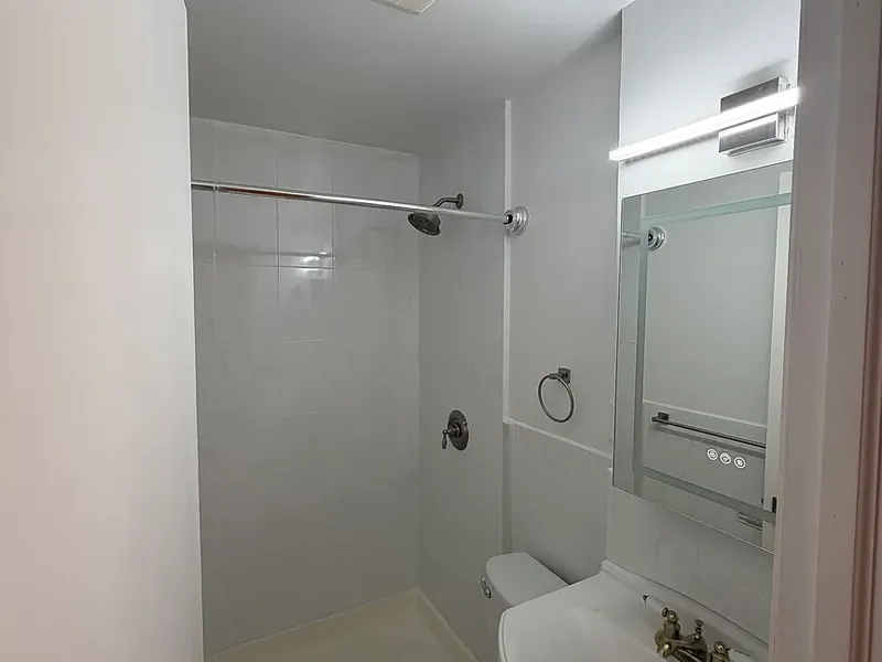 181 East 117th Street #1, photo 5